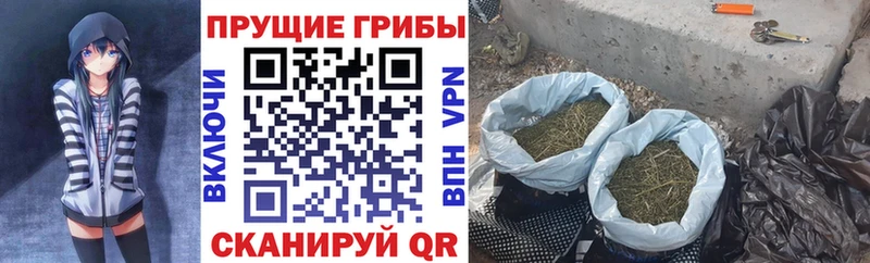 продажа наркотиков  Краснокамск  Псилоцибиновые грибы Cubensis 